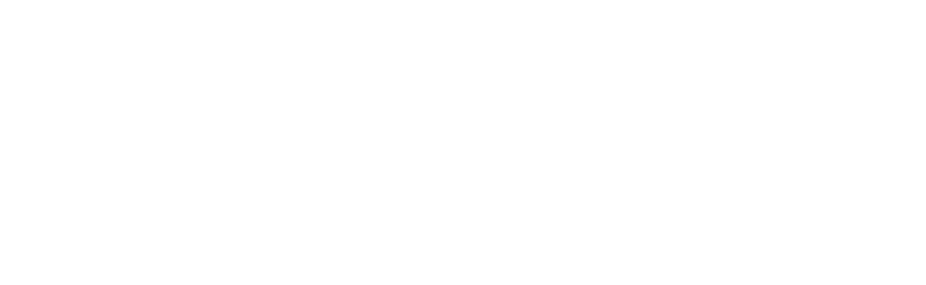 LOGO-STIMULUS-SIGNATURE-BLANC LOGO-STIMULUS-SIGNATURE-BLANC